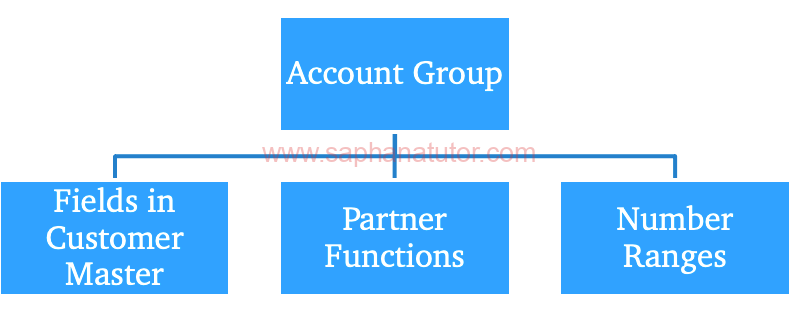 Purpose of Account Group